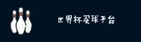 使用指南与常见问题